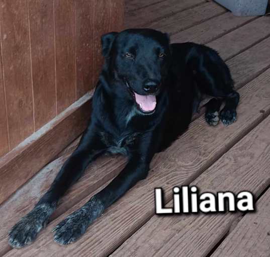 Photo of Liliana