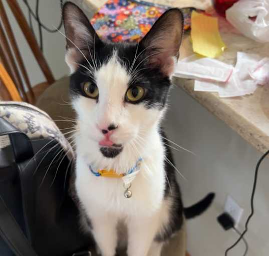 Photo of Jasper