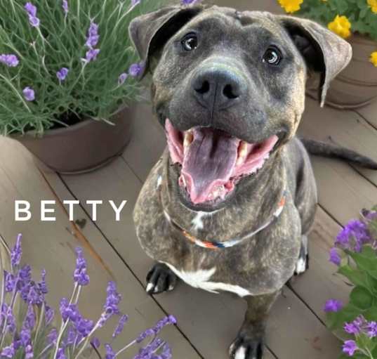 Photo of Betty