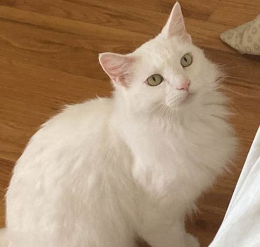 Photo of Jillie