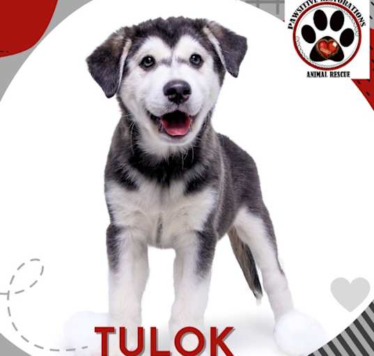 Photo of TULOK