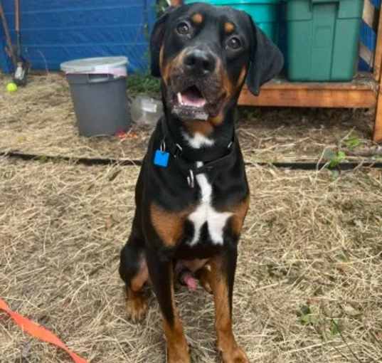 Photo of Bruno