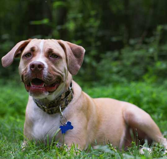 Photo of Ted Lasso litter- Rebecca Welt