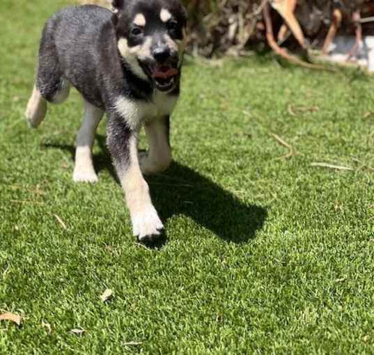 Photo of Wrigley