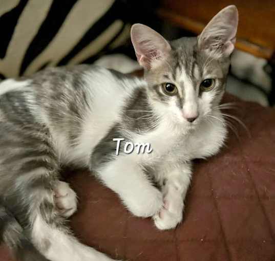 Photo of Tom #loves-life