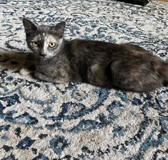 Photo of LUNA