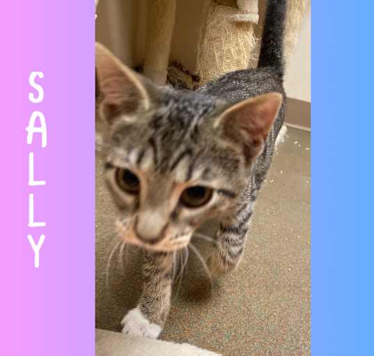 Photo of Sally