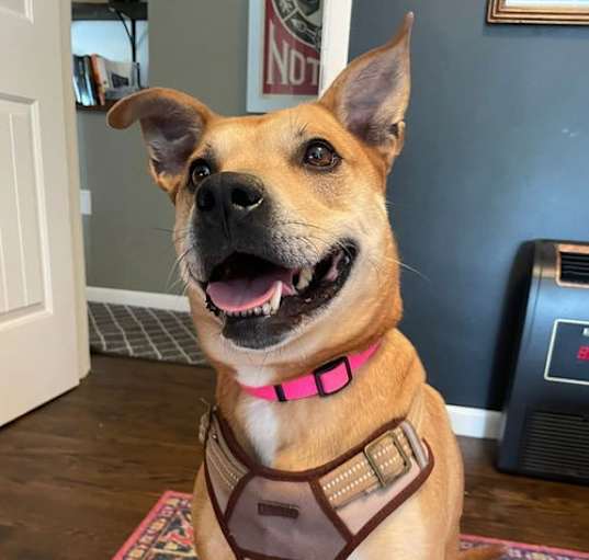 Photo of Bronwyn