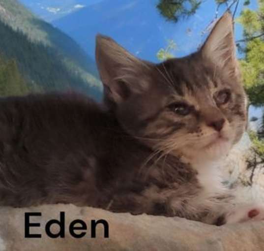 Photo of Eden