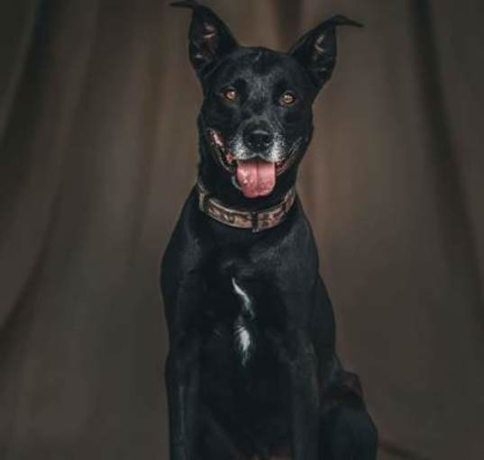 Photo of Clyde