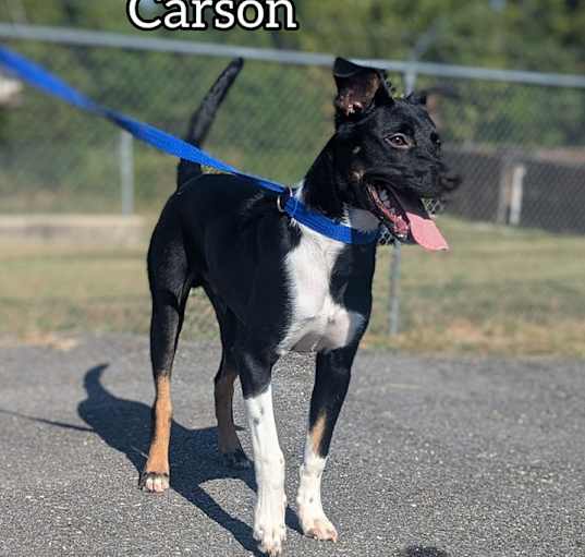 Photo of Carson