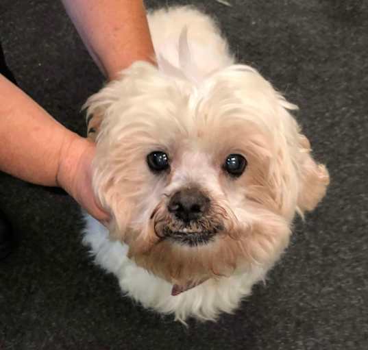 Photo of Frodo