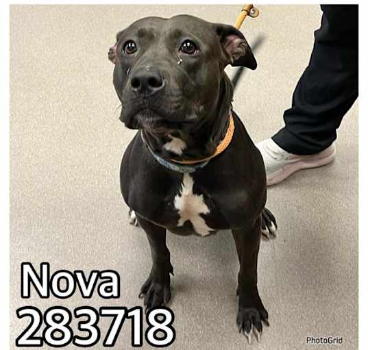 Photo of NOVA