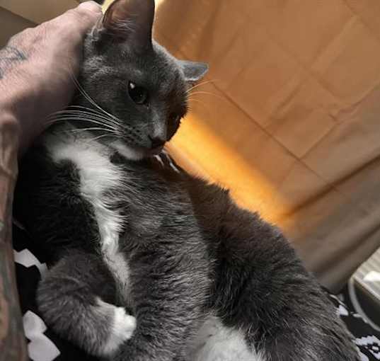 Photo of SMOKEY