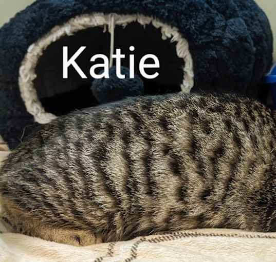 Photo of Katie