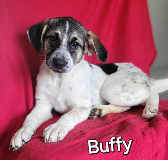 Photo of Buffy