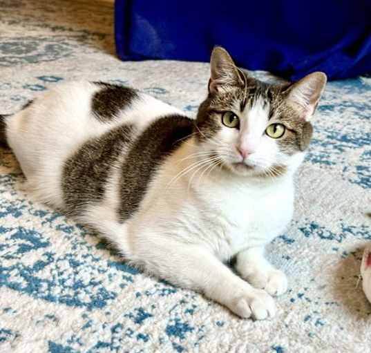 Photo of Leia