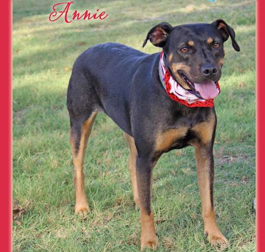 Photo of Annie