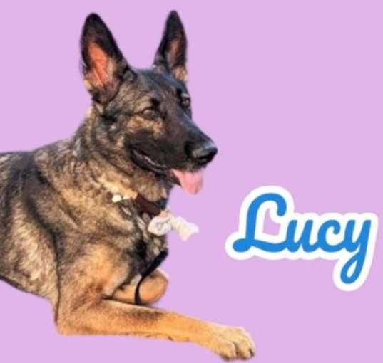 Photo of Lucy