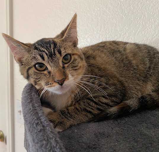 Photo of Lily