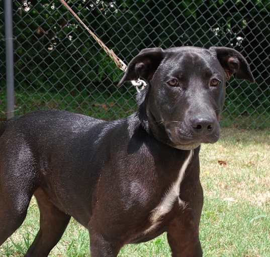 Photo of Onyx S.