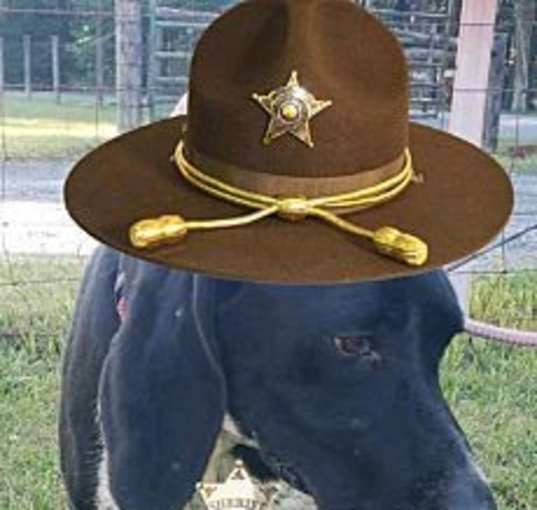 Photo of Deputy Dan