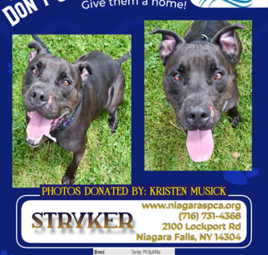 Photo of Stryker