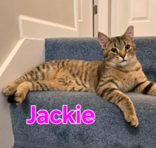 Photo of Jackie