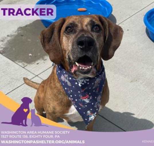 Photo of Tracker