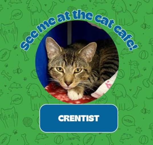 Photo of Crentist