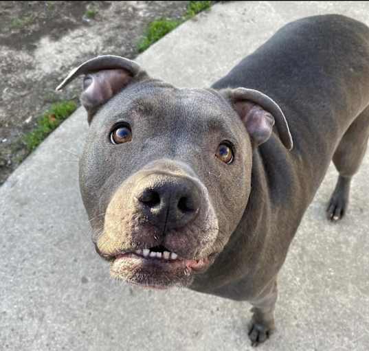 Photo of Lola