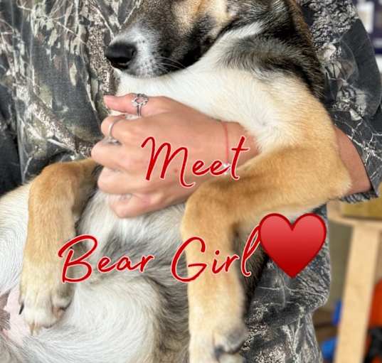 Photo of Bear(Girl)