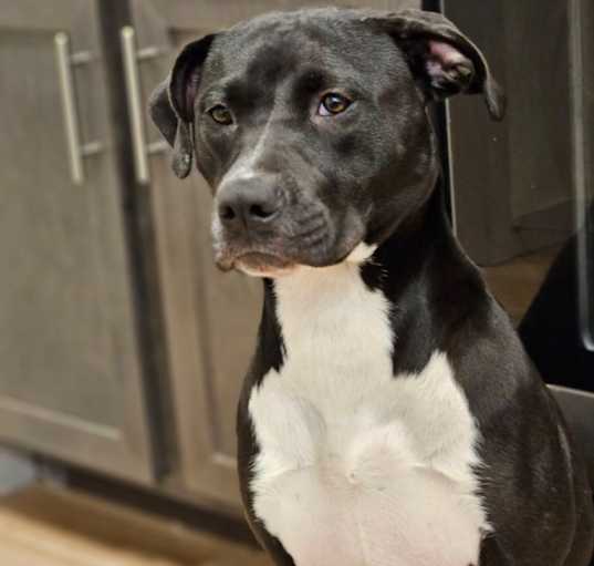 Photo of Diamond (fka Flute)