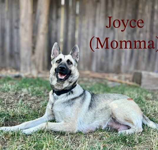 Photo of Mama Joyce