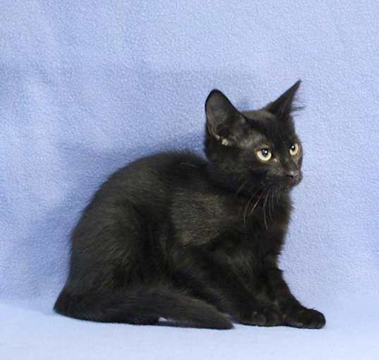 Photo of Hershey
