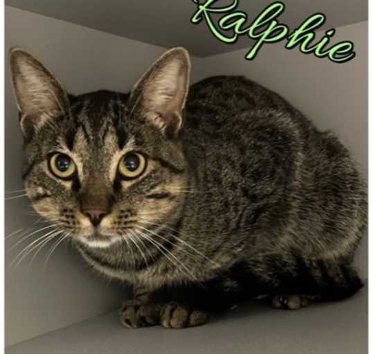 Photo of Ralphie