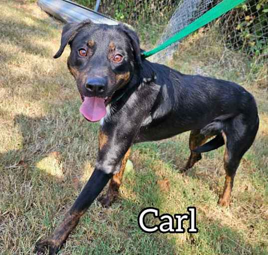 Photo of Carl