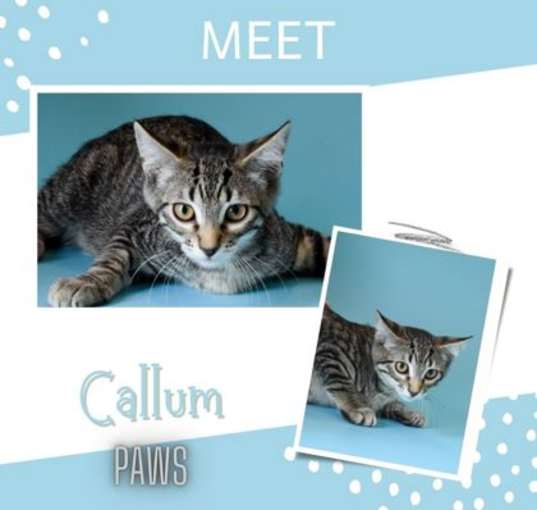 Photo of Callum