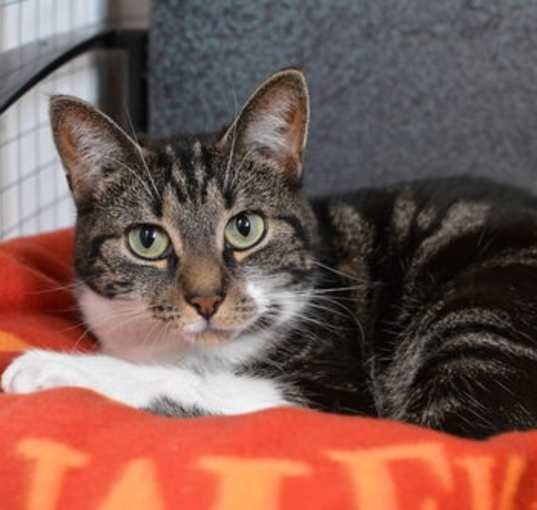 Photo of Jazz