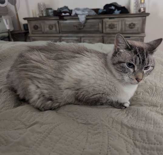 Photo of Lily