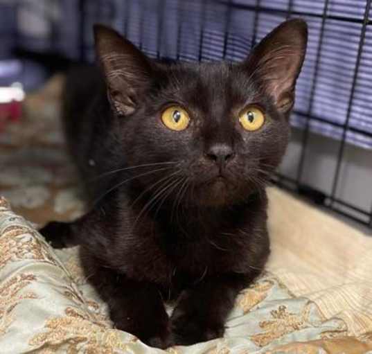 Photo of Jeremy - PetSmart West Berlin *