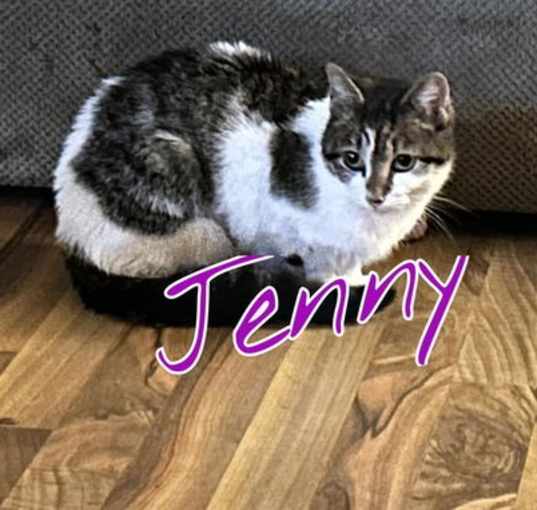 Photo of Jenny