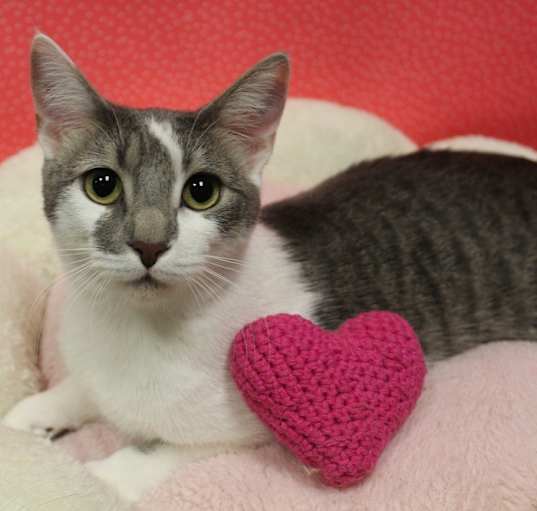 Photo of Lulu