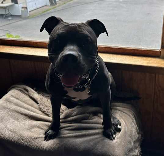 Photo of Maggie