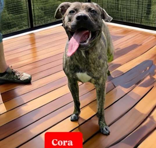 Photo of Cora