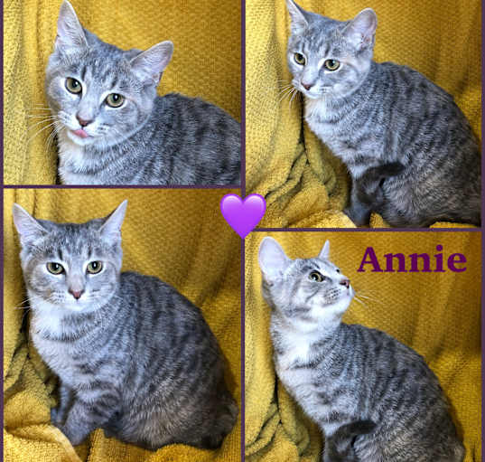 Photo of Annie