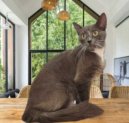 Photo of Fiona