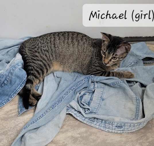 Photo of Miss Michael