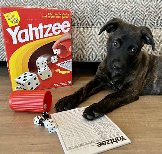 Photo of Yahtzee