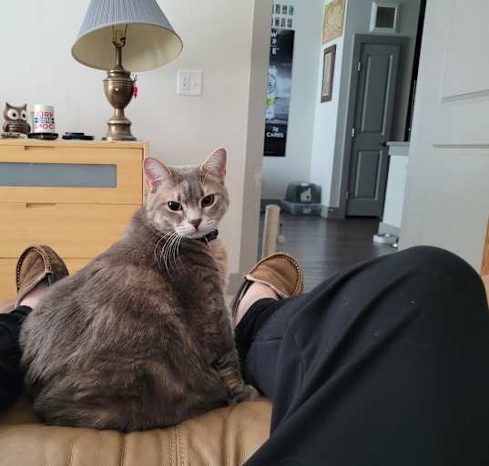 Photo of Freya